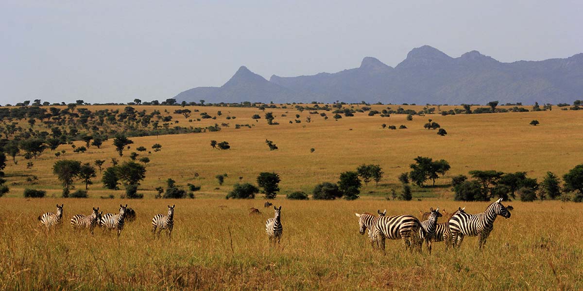 Serengeti National Park