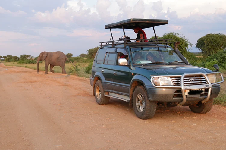 Land Cruiser Prado TX/TZ with Pop-up Roof
