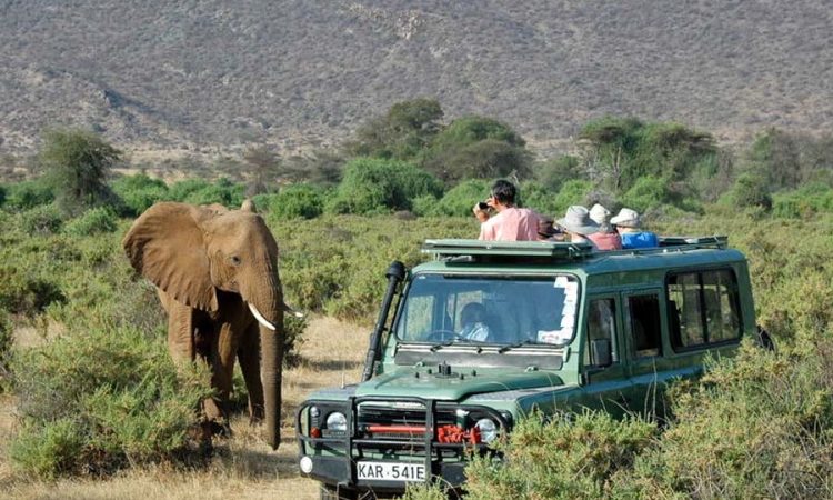 Tsavo National Park