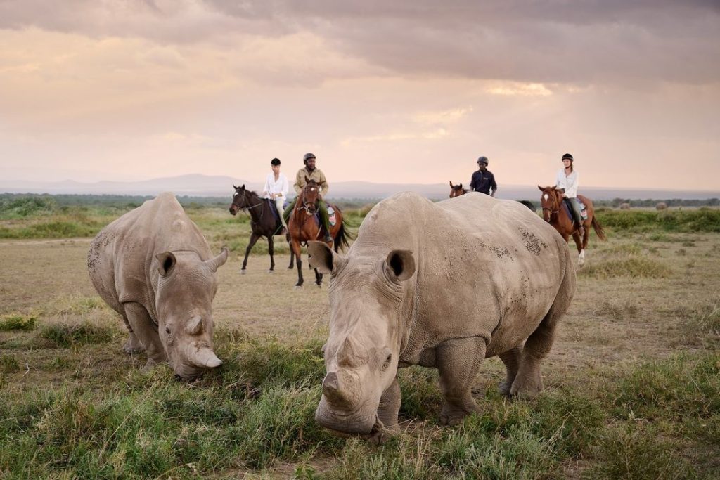 Ol Pejeta Conservancy