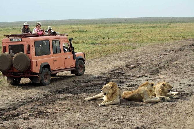 4×4 safari jeep